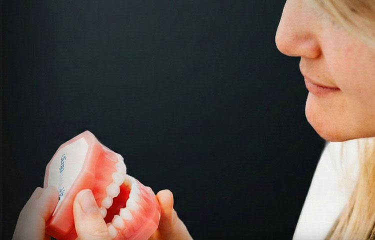 dr wiens jobs 0000 azubi